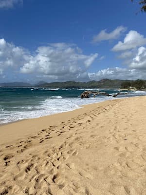 a sandy white beachh with a tropical ocean in the background