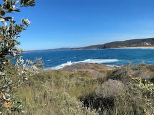 a cliff overlooking the ocean waves