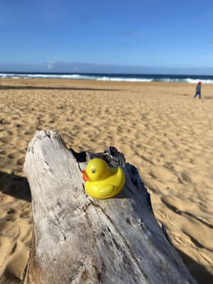 camera focused on rubber duck with ocean behind it