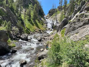 a waterfall going down a grassy terrain surrounded by forest